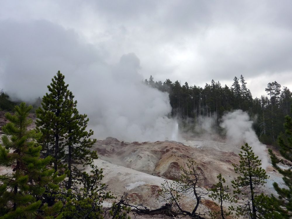Yellowstone Norris Geyser (17).JPG